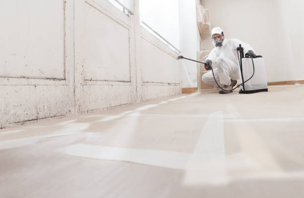 24/7 Emergency Mold Removal experts in Lexington, NC
