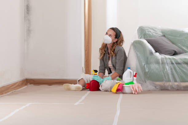 Reliable Mold Removal contractor in Lexington, NC by WQB Mold Removal